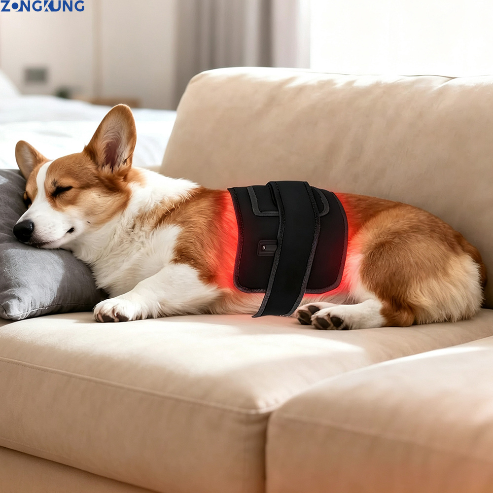 Galvanic Skin Sensor - การบำบัดด้วยแสงสีแดงสำหรับสัตว์เลี้ยง อุปกรณ์สัตวแพทย์แบบพกพา แสงอินฟราเรด 660nm 850nm บรรเทาอาการปวด